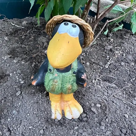 The Peaceful Garden Family With Free Parking Дом отдыха Зальцбург