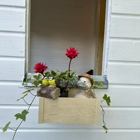 Tatil Evi The Peaceful Garden Family With Free Parking