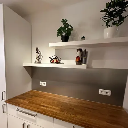 Tatil Evi The Peaceful Garden Family With Free Parking Salzburg