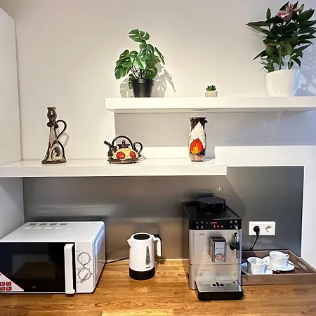 The Peaceful Garden Family With Free Parking 度假居 萨尔茨堡
